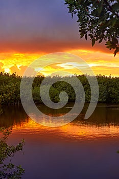 Mangroove sunset in Riviera Maya Mexico