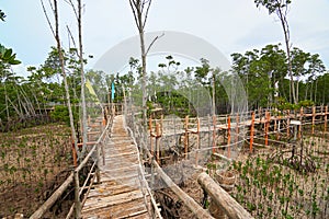 Mangrove Eco Park on Bantayan Island, Philippines