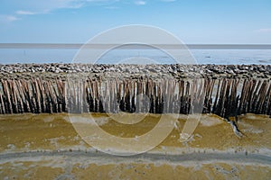 Mangrove forest without trees. Bamboo barrier between the sea an