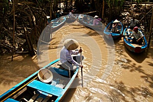 Mangrove in Mekong Delta, Vietnam