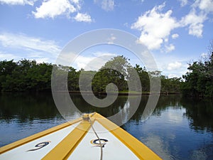 Boat facing at a mangrove