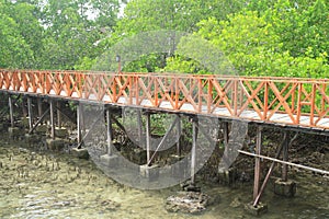 Mangrove Park in Manokwari