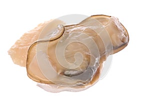 Mangrove Swamp Lokan Meat