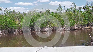 Mangrove tour by Airboat POV