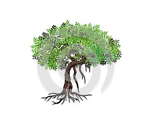 Mangrove tree hand drawn vector logo