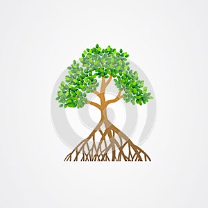 Mangrove tree with roots and green leaves vector illustration