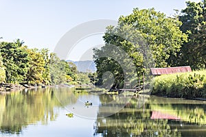 Mangrove water in jungle of Costa Rica photo