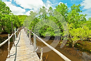 Mangroves