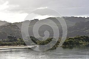 Mangroves in calm estuary