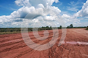 Mangroves are deliberately damaged