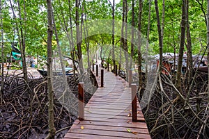 Mangroves inTung Prong Thong or Golden Mangrove Field at Estuary