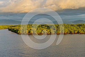 Mangroves and lush vegetation