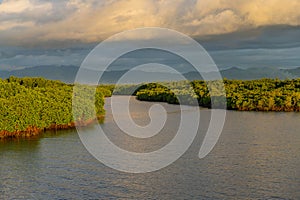 Mangroves and lush vegetation