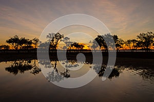 Mangroves and tree reflection in water at sunset in Mackay, Queensland, Australia
