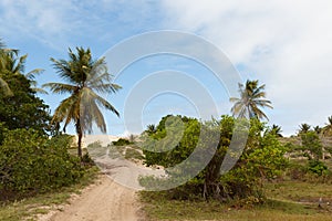 Mangue Seco, JandaÃ­ra, Bahia, Brazil