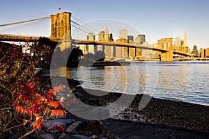 Manhattan with Brooklyn Bridge, New York City, USA