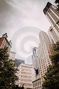 Manhattan buildings from frog persective in New York City