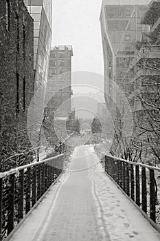 Manhattan Highline in winter, NYC photo