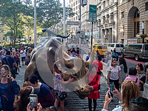 Manhattan, New York City, United states, Charging Bull of Wall Street on Bowling Green, bronze sculpture on Broadway, financial