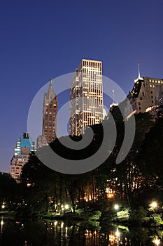 Manhattan Skyline and Central Park at Night