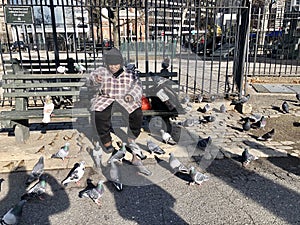 Manhattan street scene: A homeless man is feeding birds and pigeons in New York