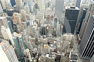 Manhattan - Urban Jungle