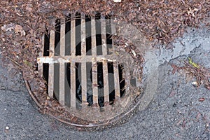Manhole in automn surrounded by leaves
