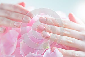 Manicure, beauty nails. Beautiful Woman`s hands, Spa and Manicure concept. Female hands with beautiful natural pink french