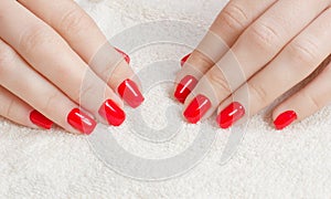 Manicure - Beauty treatment photo of nice manicured woman fingernails with red nail polish.