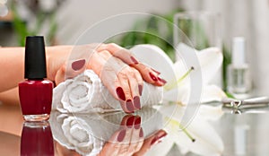 Manicure concept. Beautiful woman& x27;s hands with perfect manicure at beauty salon.