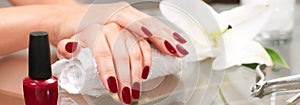 Manicure concept. Beautiful woman& x27;s hands with perfect manicure at beauty salon.