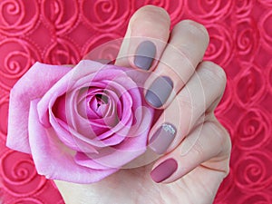 Manicure dusty rose