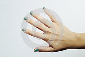 Manicure.female hands.in beauty salon.woman.shellac polish nail photo
