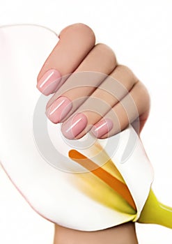 Manicure with gel coating .