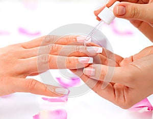 Manicure and Hands Spa