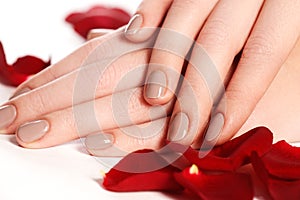 Manicure, hands & spa. Beautiful woman hands, soft skin, beautiful nails. Healthy woman hands. Beauty salon. Beauty treatment. Fe