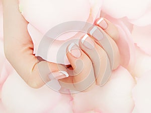 Manicure, Hands spa Beautiful woman hands, soft skin, beautiful nails with pink rose flowers petals. Healthy