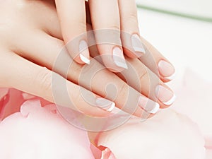 Manicure, Hands spa Beautiful woman hands, soft skin, beautiful nails with pink rose flowers petals. Healthy