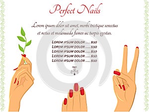 Manicure hands vector template