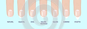 Manicure most popular fashion nail shapes flat style vector illustration set isolated light blue background.