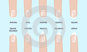 Manicure most popular fashion nail shapes flat style vector illustration set isolated light blue background. photo