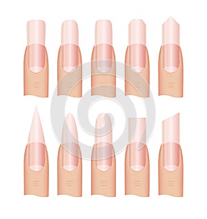 Manicure Nail shape photo