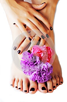 Manicure pedicure with flower close up isolated on white perfect shape hands spa salon, modern dark mani pedi