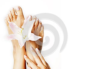 Manicure pedicure with flower lily close up isolated on white perfect shape hands spa salon