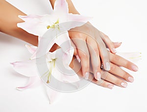 Manicure pedicure with flower lily close up isolated on white perfect shape hands spa salon