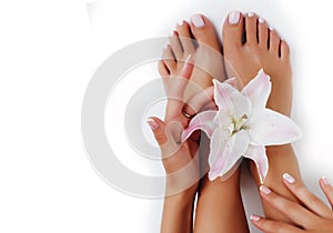 manicure pedicure with flower lily close up isolated on white perfect shape hands spa salon