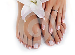 manicure pedicure with flower lily close up isolated on white perfect shape hands spa salon