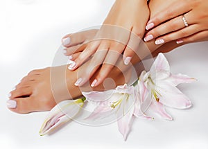 Manicure pedicure with flower lily closeup isolated on white perfect shape hands spa salon