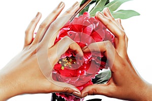 Manicure pedicure people hands concept, woman fingers in shape of heart holding pink rose flowers