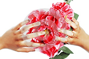 Manicure pedicure people hands concept, woman fingers in shape of heart holding pink rose flowers